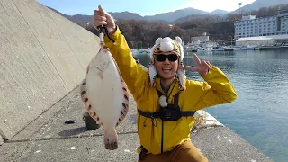 釣れた！夢の座布団カレイ