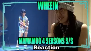 TMF (AAA) reacts to WHEEIN (MAMAMOO 4 SEASONS S/S CONCERT)