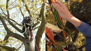 Access a Tree Using a Rope & Harness - The Two Rope System