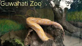 Assam state Zoo cum botanical garden- guwahati | #Zoo #Guwahati #Assam