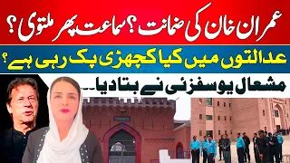 Imran Khan Bail, Cypher Case Hearing - All Updates - Mashal Yousafzai Advocate