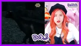 Dog...? (Stream Highlight Collection)