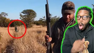 6 Lion Encounters That Will Give You Chills Part (3) REACTION!!!!