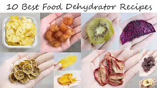 10 Best Food Dehydrator Recipes You Will Want to Try