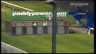 Irish Greyhound Derby 2000