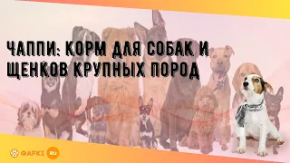 Чаппи: корм для собак и щенков крупных пород