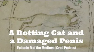 A Rotting Cat and a Damaged Penis