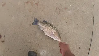 Fishing the Gandy Bridge in Tampa Bay for snapper.