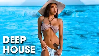 Summer Music Mix 2024 🐳 Alan Walker, David Guetta, Rema 🐳 Avicii, Coldplay, Martin Garrix style #59