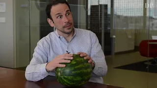 Machine learning explained in 1 minute and 20 seconds using a watermelon