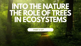 The Role of Trees in Ecosystems /What if there were 1 trillion more trees?