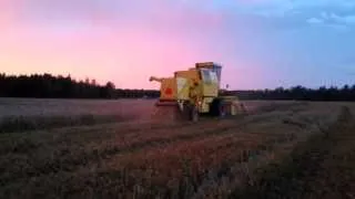 New Holland Clayson 1520 combine harvester and winter wheat harvest at Finland on august 2013