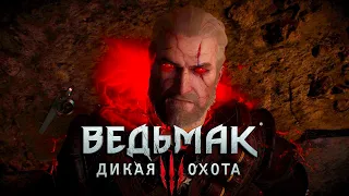 Ведьмак 3: Дикая Охота Next Gen "В тени вечного пламени" Прохождение Все концовки