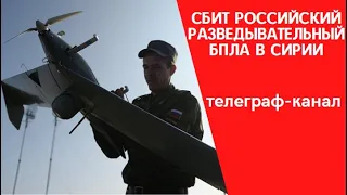 Сирия.  Исламская община Туркестана сбила Российский разведывательный БПЛА к западу от Хамы.