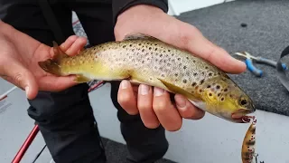 Pine Tier Lagoon Trout Fishing Tasmania