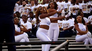 Southern University Fabulous Dancing Dolls Highlights @ CrankFest (2017)