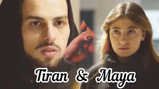 Մայա & Տիրան / Maya & Tiran