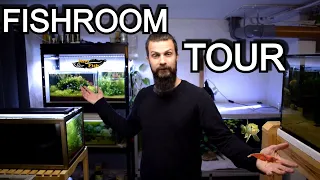 FISHROOM TOUR  feeding all my fish (hundreds of fishfry)