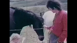 Paul McCartney and his daughter Stella McCartney petting horses (1975)