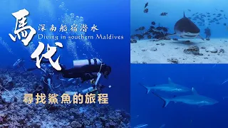 馬爾代夫深南船宿潛水完整攻略纪录片