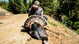 2023 Washington spring turkey hunting