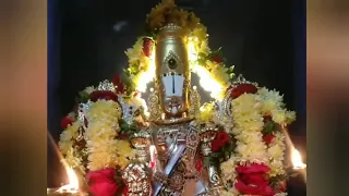 Srinivasa Govinda Sri venkatesha Govinda Song | Suprabhat Darshanam |Tirumala Arthi Dharshan|#viral