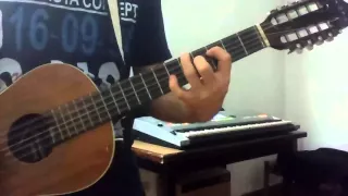 COVER  Zé trovão - Jads e Jadson (Viola)