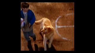 Air Bud 1997 Scene