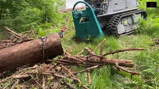 Holzfäller vom alten Schlag ☆ aber am Stand der Technik ☆Pfanzelt Moritz FR 75 ☆ 2 : ?