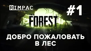 The Forest | Добро пожаловать в лес | [Let's Play] #1