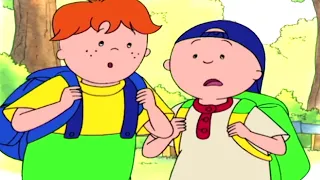 Caillou és az Erdei Kaland | Caillou Magyarul - WildBrain