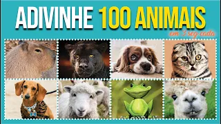 Adivinhe 100 animais  / Amigo Quiz