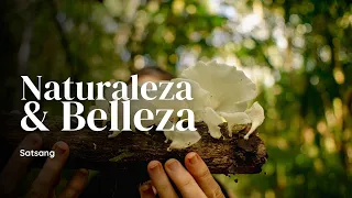 Conservación de la naturaleza a través de la belleza | Satsang. Por: Dhyana