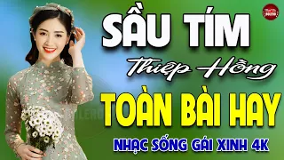 Sầu Tím Thiệp Hồng ✨ Mai Tiến Đạt ✨ LK Nhạc Sống Trữ Tình GÁI XINH 4K Phê Sởn Da Gà ✨ TOÀN BÀI HAY