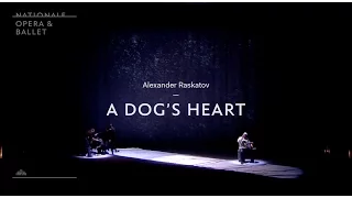 A Dog's Heart | What's it all about? | Complicite