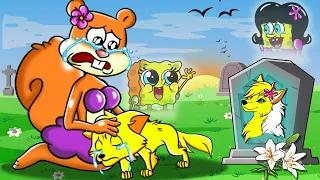 [Animation] Spongebob is a Lonely Wolf - Sad Story | Poor Spongebob Life