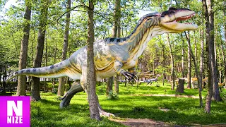 ALLOSAURUS - Wirklich Der Beste Dinosaurier?