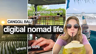 Remote working in Canggu, Bali 🌴 a day in the life