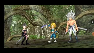 DFFOO EoS - Guardian of the Crystal Crystal Quest