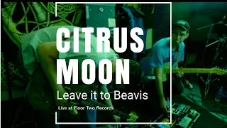 Citrus Moon - Leave it to Beavis | Live Performance