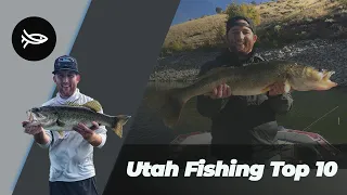 The 10 Best Places to Fish In Utah