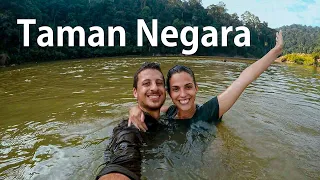 Taman Negara | Rumbo al corazón de una de las selvas más antiguas del planeta. Viaje a Malasia #5