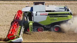 Mähdrescher bei der Getreideernte / CLAAS LEXION 750 / Weizen dreschen / DJI Mavic Mini Drohne