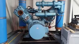 Compressor|Routine Maintenance