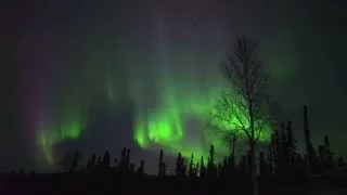 Saturday Night Live Northern Lights in Fairbanks, Alaska