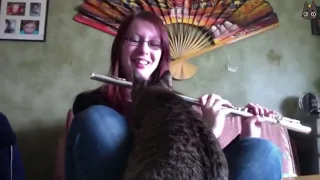 Cats vs Instruments! (A Compilation)