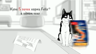 PURINA. FELIX