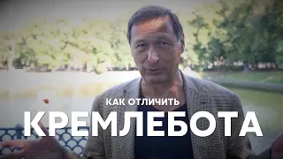 Борис Кагарлицкий: Как отличить Кремлебота?