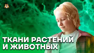 Ткани растений и животных | Биология ОГЭ 2023 | Умскул