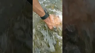 Camera Dropped into Water While Shooting River😱